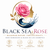 blacksearose